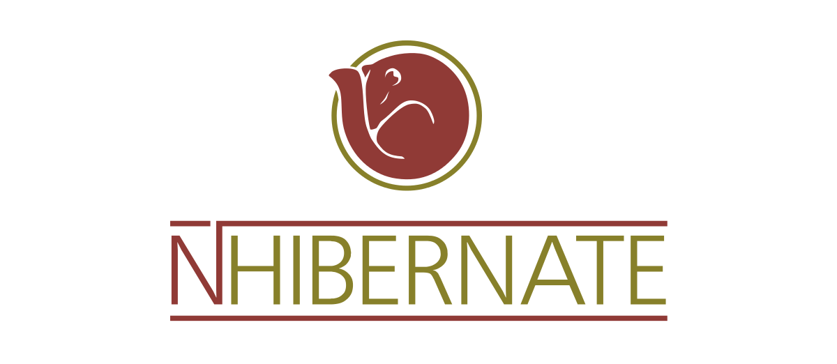 USING AN ENUM ON A FLUENTNHIBERNATE MAPPING [C#]